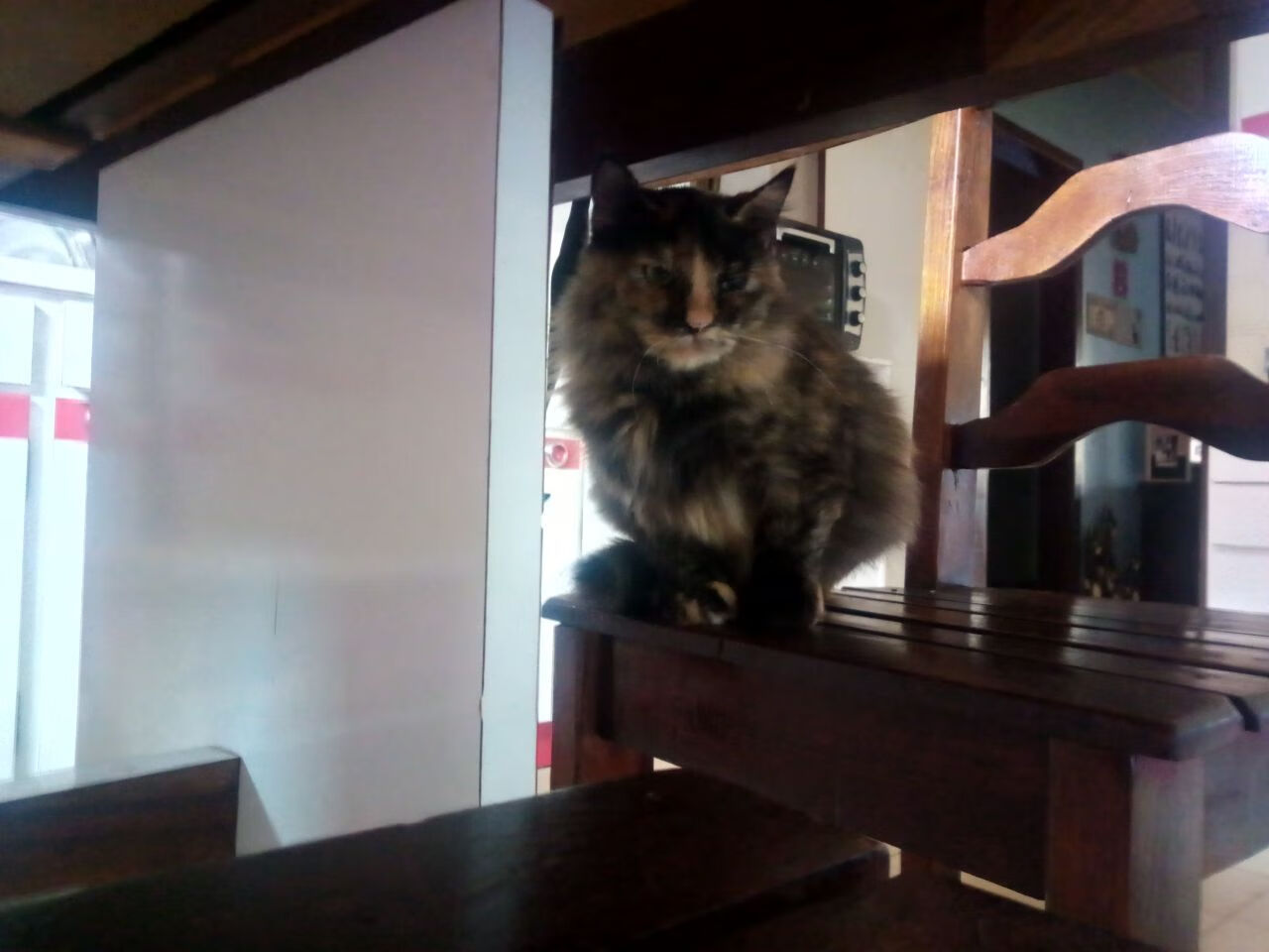 俱乐部管理新趋势:年轻管理层引领创新,俱乐部管理方法