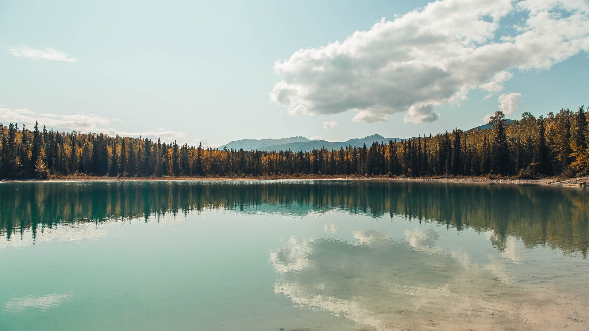 篮球专项体能训练智能化监测与动态调整研究,篮球体智能课程介绍