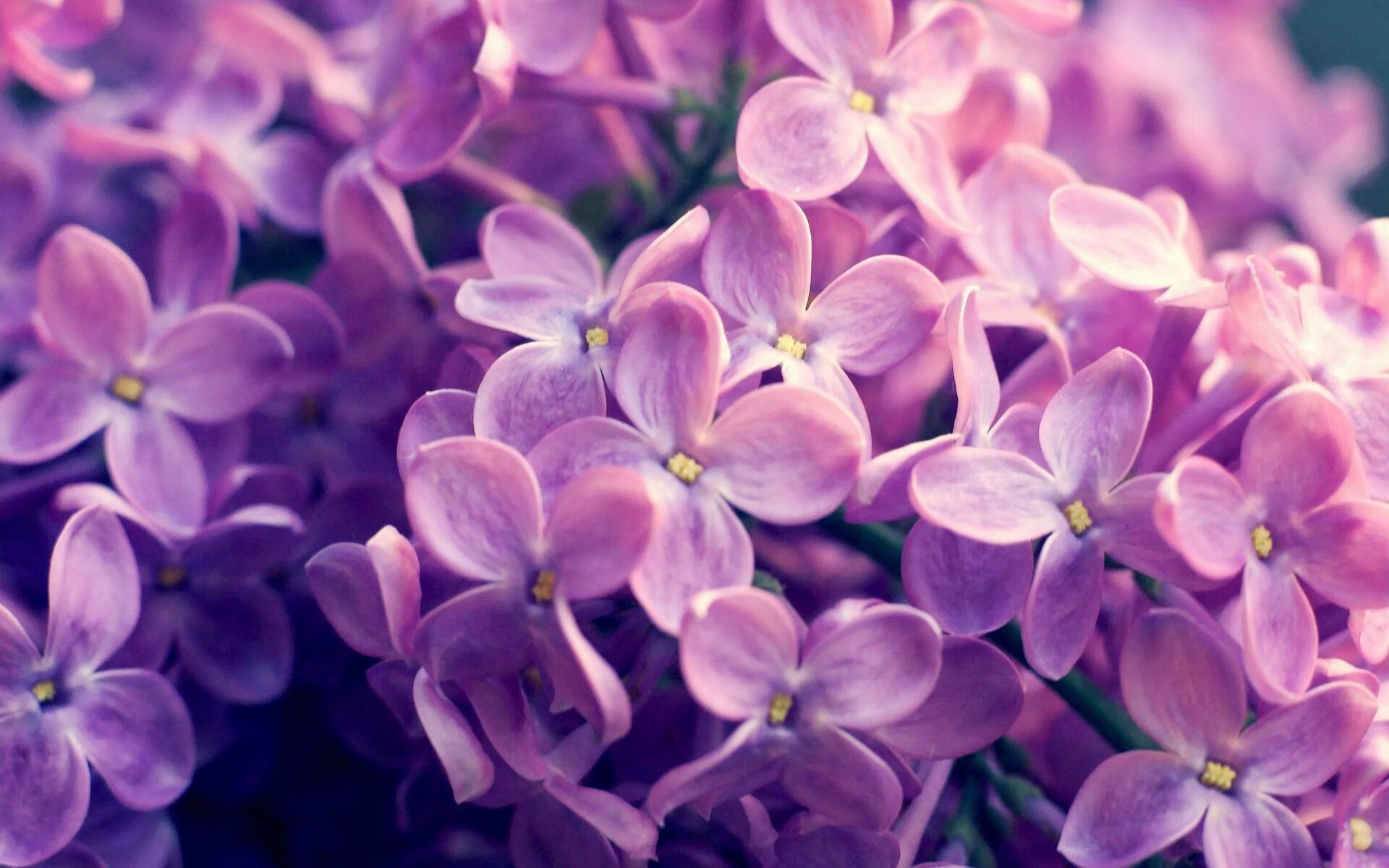 英超运动医学对高强度比赛疲劳恢复的干预效果,英超运动员