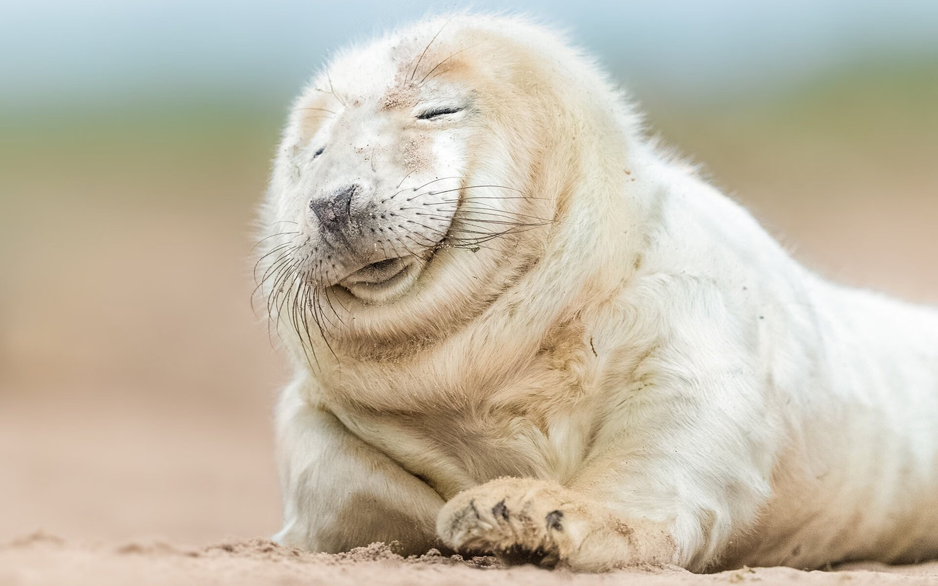 利物浦中后场连线打出高质量推进，利物浦的中场