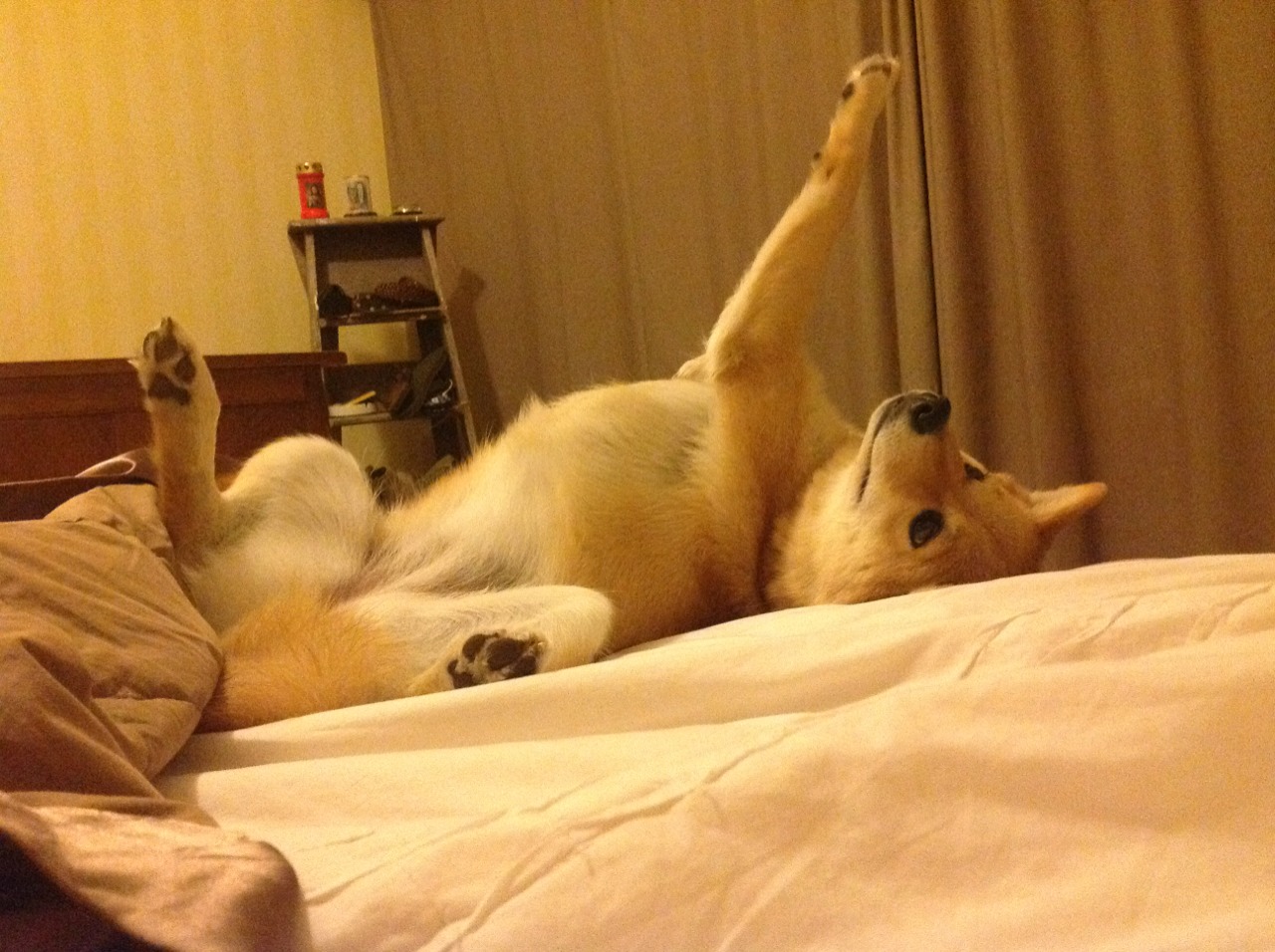 青少年篮球开展专项技能提升训练丰富技术手段,青少年篮球培养