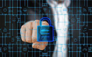 华体会手机网站-东莞大风天高空作业惊险一幕！，东莞高空坠落