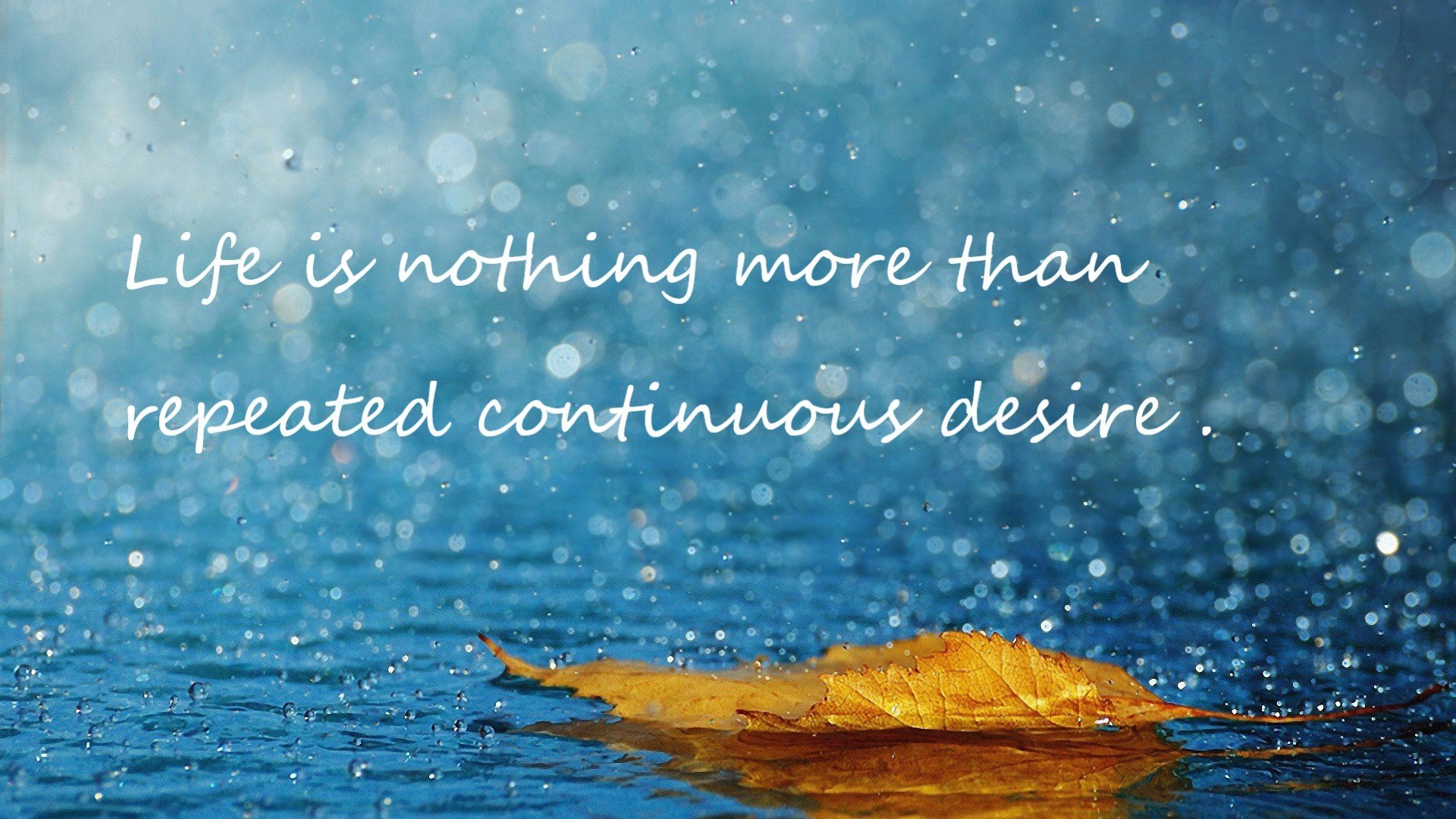 中国足球俱乐部优化教练团队结构与能力，足球教练组分工