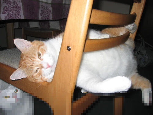 中国足球是否存在青年教练职业发展天花板,中国年轻足球教练