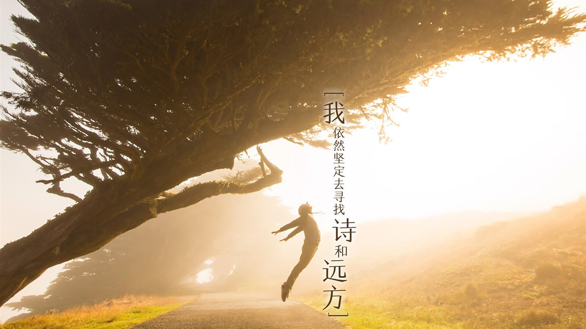 中国足球是否应加强女子联赛的市场化运营,中国女子足球协会