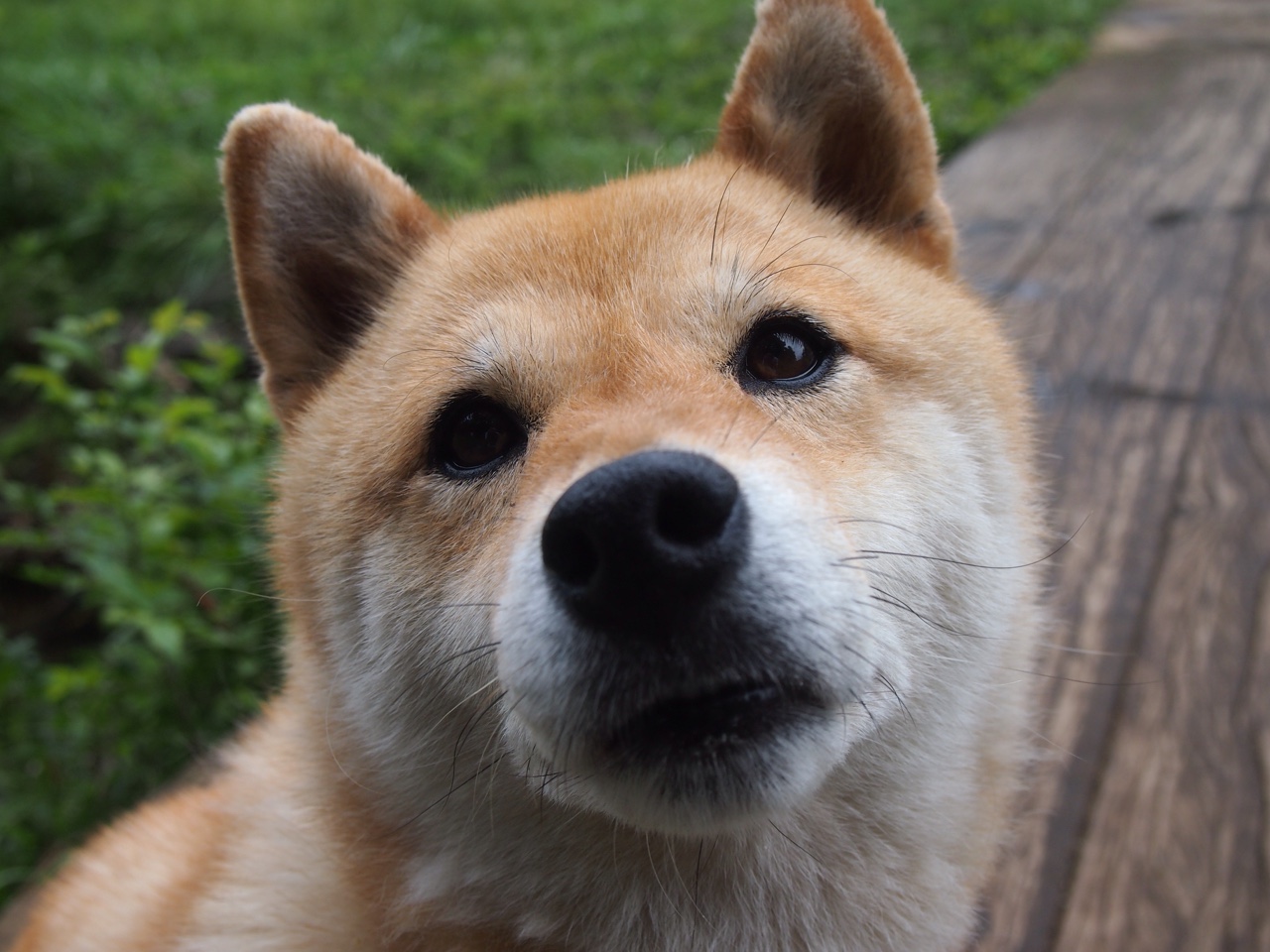 人民日报：孩子间的差距，是时间和习惯的累积，孩子与孩子的差距