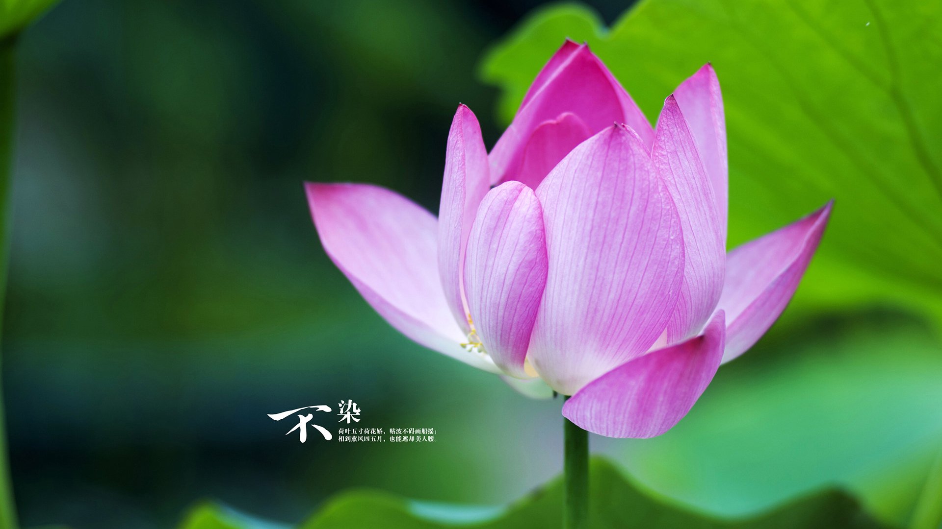 体育新闻中心深耕用户细分内容矩阵建设，体育新闻策划案例