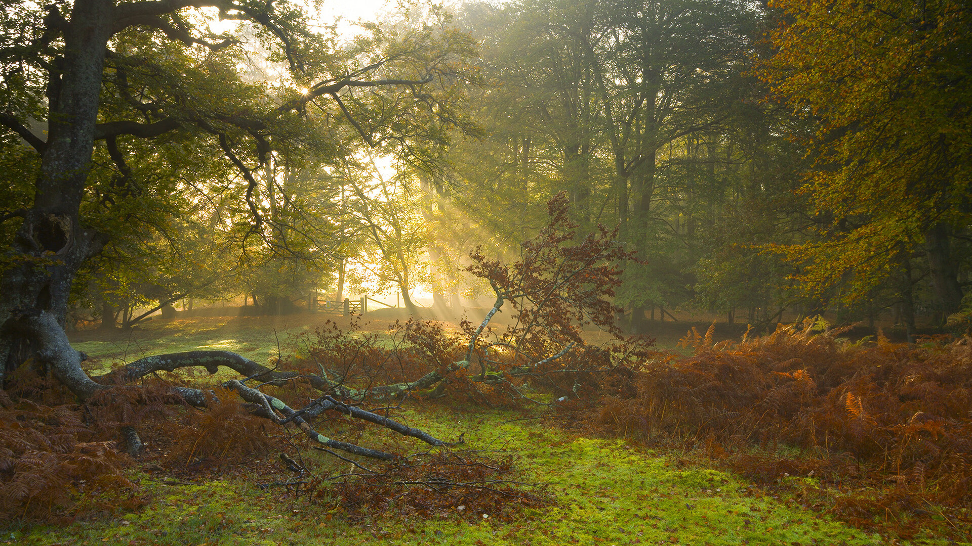 刘芳经验丰富稳定军心