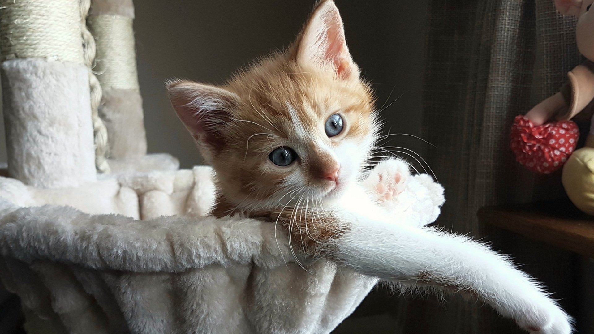 华体会app下载-向鹏输球！国乒男单真顶不住压力了吗？，国乒男单运动员